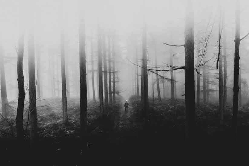 زندگی در سایه تاریکی: تجربه و غلبه بر افسردگی مرکز روانشناسی هیجانمدار دلوین